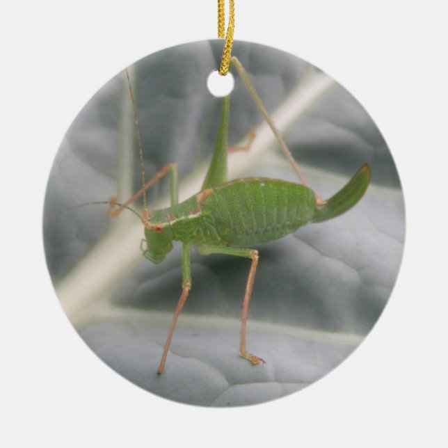 Green Cricket Macro Custom Geburtstag Keramik Ornament (Vorne)