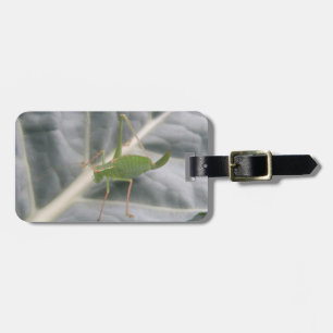Green Cricket Macro Custom Luggage Tag Gepäckanhänger