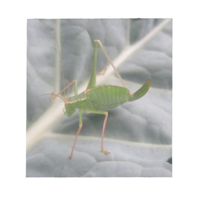 Green Cricket Macro Notepad Notizblock (Vorderseite)