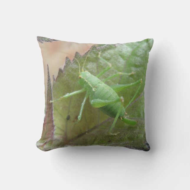 Green Cricket, wir haben Leaf Pillow Kissen (Vorderseite)