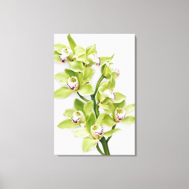 Green Cymbidium Orchid Blume Wrapped Canvas Print Leinwanddruck (Vorderseite)