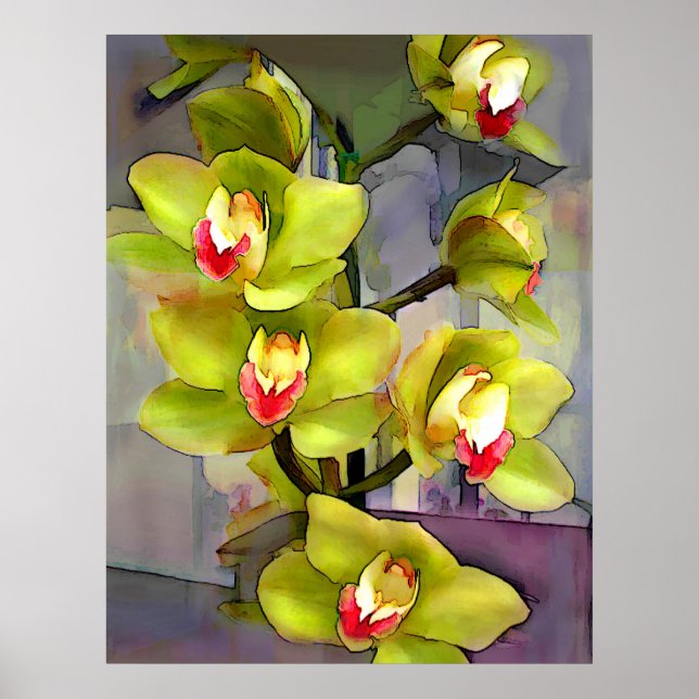 Green Cymbidium Orchids Poster (Vorne)