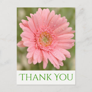 Green Danke Pink Gerbera Daisy Blume Postkarte