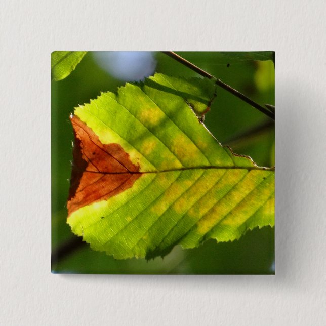 Green Fall Leaf Button (Vorderseite)