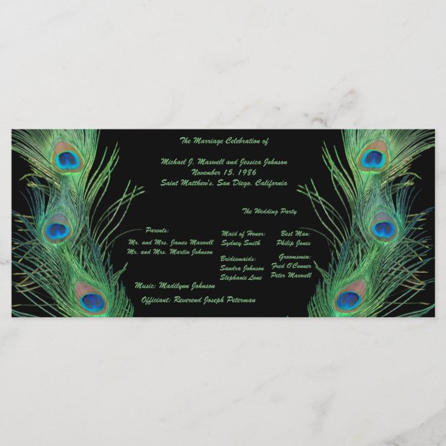 Green Feathers with Black Wedding Program Programm (Vorderseite)
