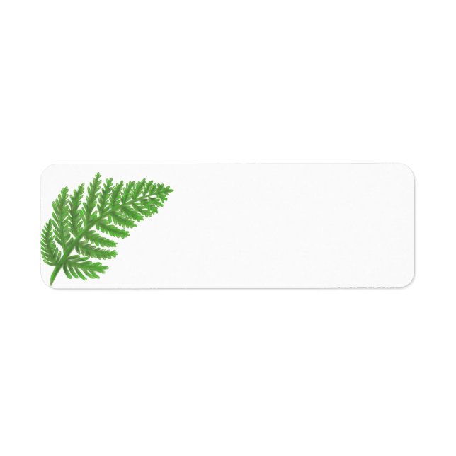 Green Fern (Vorne)