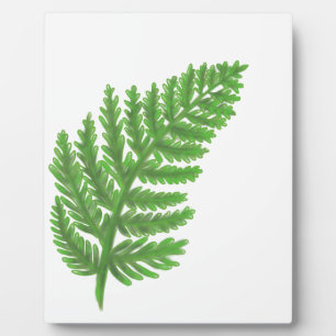 Green Fern Fotoplatte