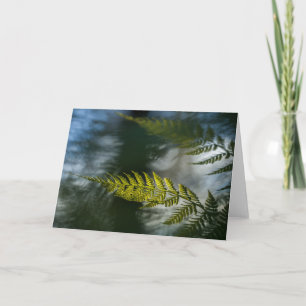 Green Fern Frond Nature Photo Karte