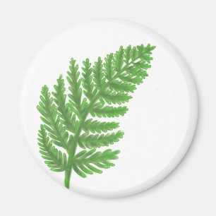 Green Fern Magnet