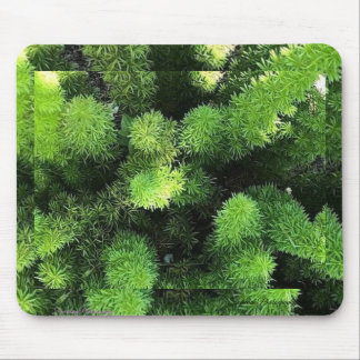 Green Fern Mouse Pad Mousepad