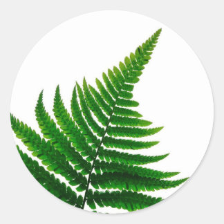 Green Fern Print Woodlands Leaf Runder Aufkleber
