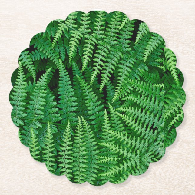 Green Fern Untersetzer (Vorderseite)