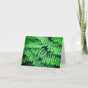 Green Ferns Nature Blank Note Card Dankeskarte