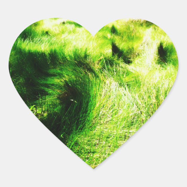 Green Field Aufkleber (Vorderseite)