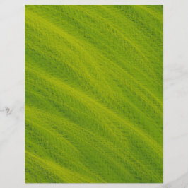 Green Field of Wheat Scrapbook Paper 2-Sided Page