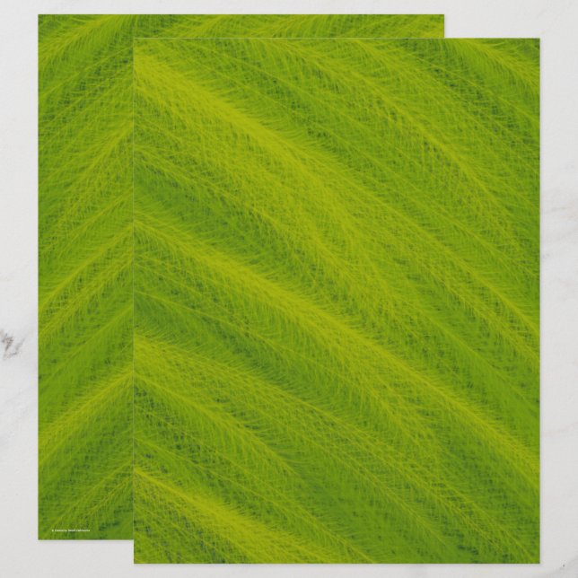 Green Field of Wheat Scrapbook Paper 2-Sided Page (Vorne/Hinten)