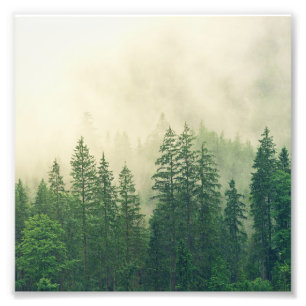 Green Foggy Rocky Mountains Colorado USA Adventure Fotodruck