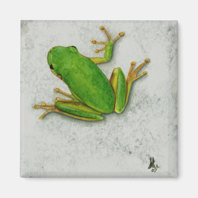 Green Frog Magnet (Vorne)