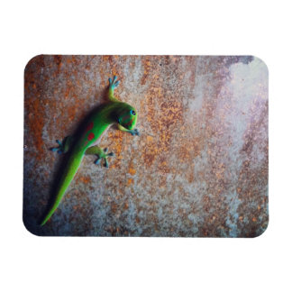 Green Gecko Flexi Magnet