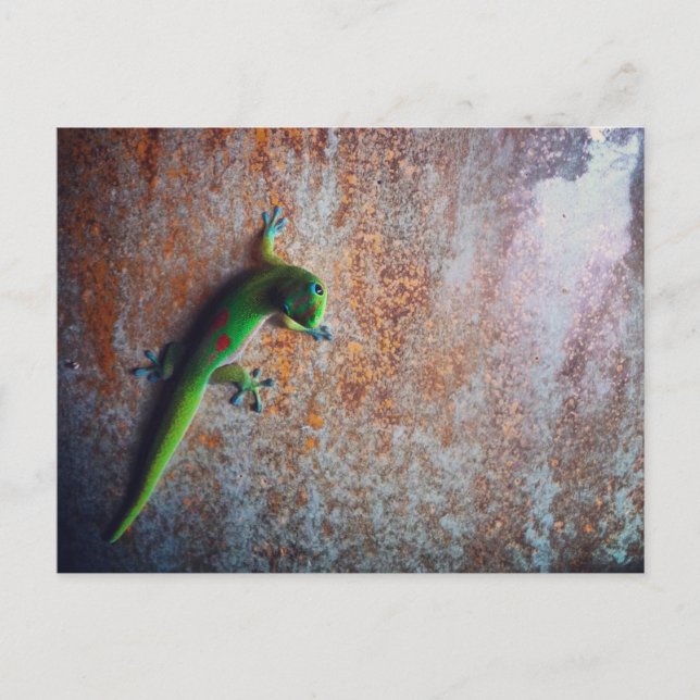 Green Gecko Postcard Postkarte (Vorderseite)