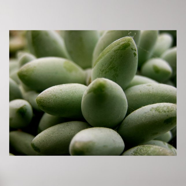 Green Gems Poster (Vorne)