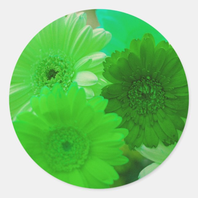 Green Gerbera Daisy Blume Art Decal Stickers (Vorderseite)