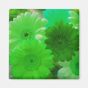 Green Gerbera Daisy Blume Kühlschrank Magnete