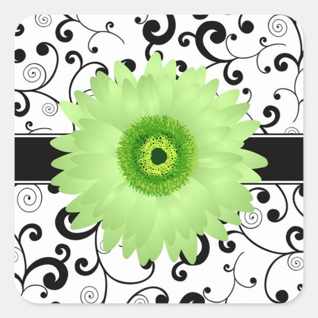 Green Gerbera Daisy mit Black Scroll Design Siegel Quadratischer Aufkleber (Vorderseite)