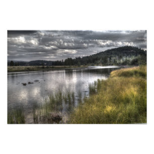 Green Ghost Fotodruck