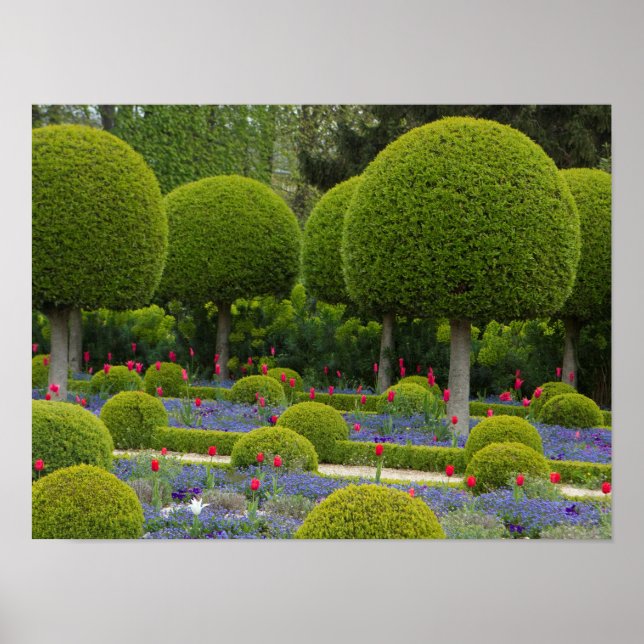 Green Globe Shape Trees Poster (Vorne)