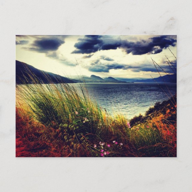 Green Grass Lake Dark Clouds Postkarte (Vorderseite)