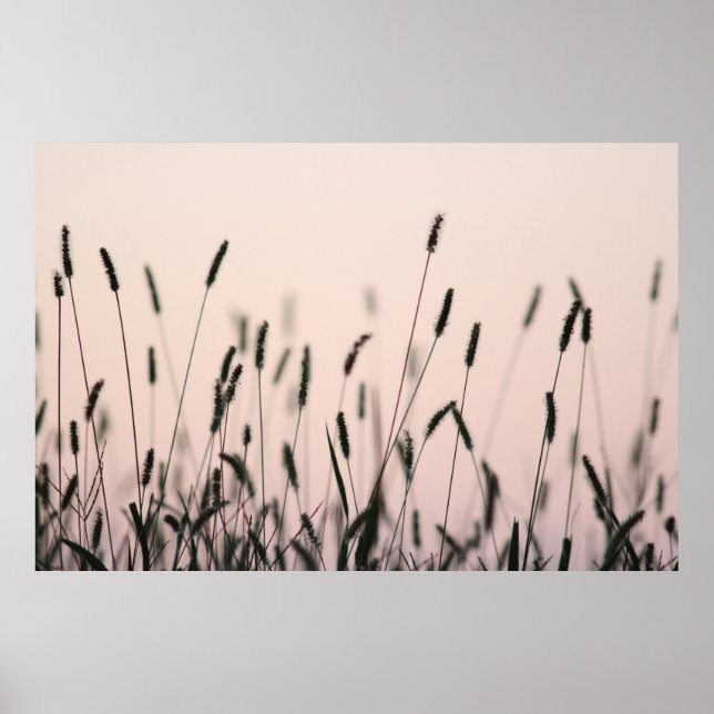 GREEN GRASS POSTER (Vorne)