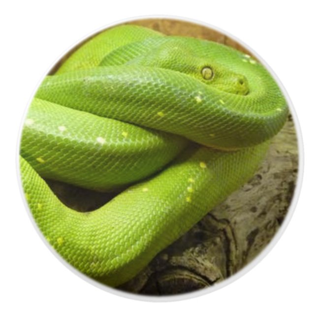 GREEN GRASS SNAKE KERAMIKKNAUF (Vorderseite)