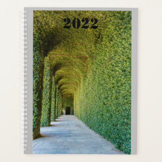 green greenhouse ficus repens on planner planer
