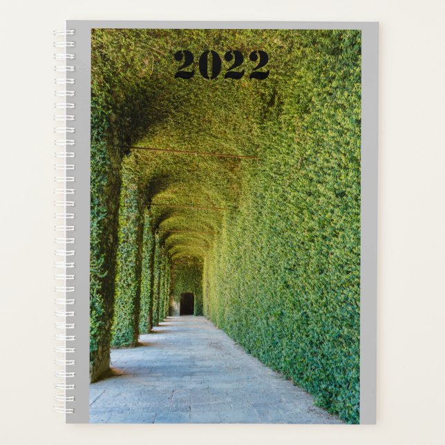 green greenhouse  ficus repens on planner planer (Vorderseite)