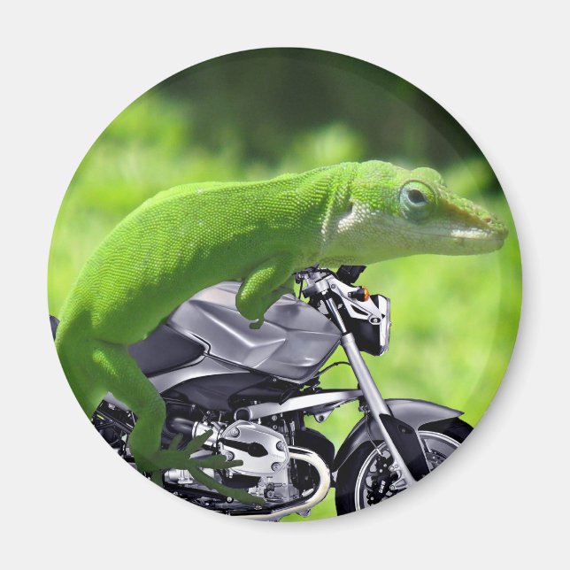 Green Hawaiian Gecko Rider Magnet (Vorne)