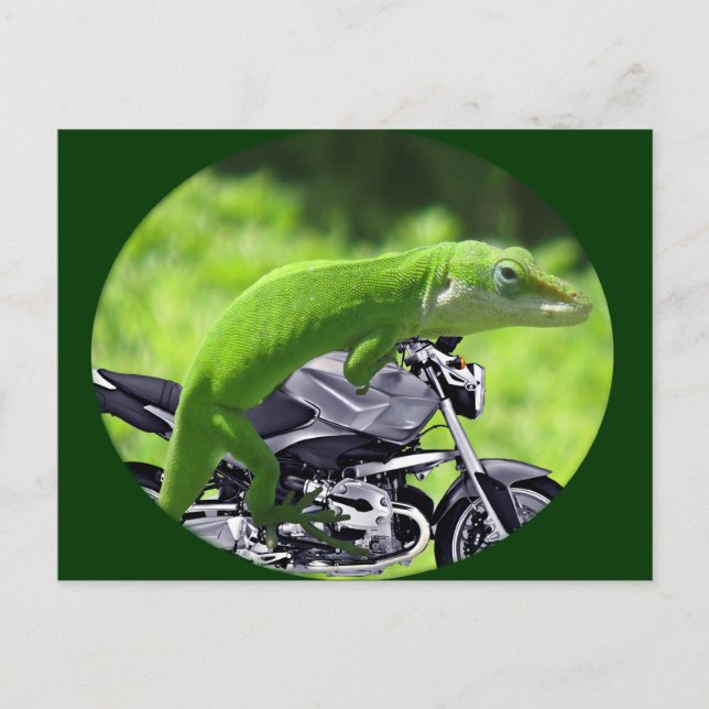 Green Hawaiian Gecko Rider Postkarte (Vorderseite)