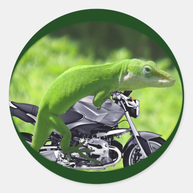 Green Hawaiian Gecko Rider Runder Aufkleber (Vorderseite)