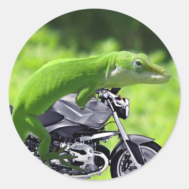 Green Hawaiian Gecko Rider Runder Aufkleber (Vorderseite)