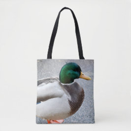 Green Headed Mallard Drake