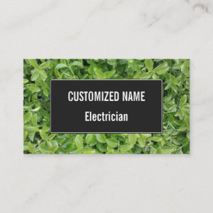 Green Hedge Shrub Type Pflanze Foto Visitenkarte