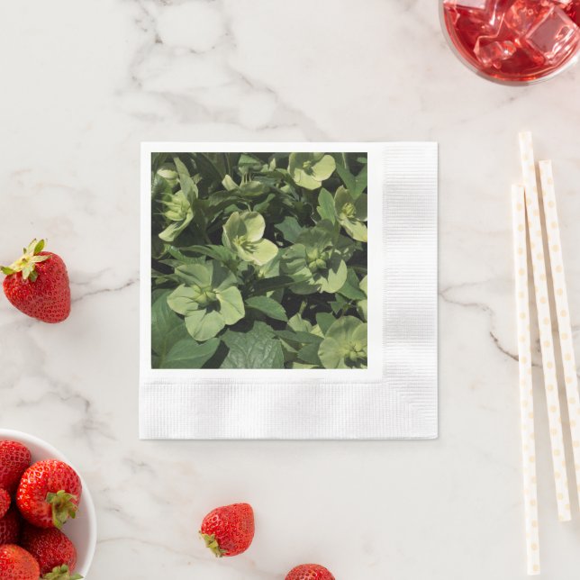 Green Hellebore Serviette (Beispiel)