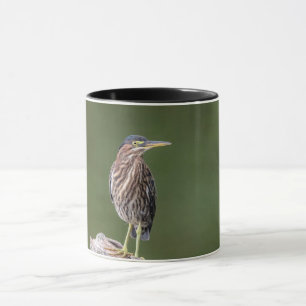Green Heron auf einem Stein Tasse