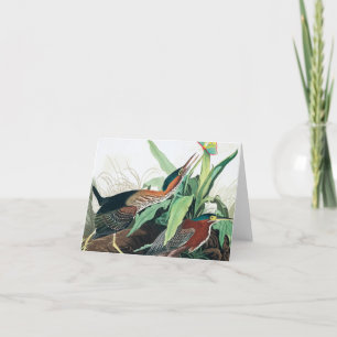 Green Heron von John James Audubon Dankeskarte