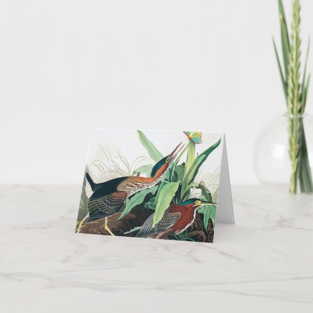 Green Heron von John James Audubon Dankeskarte (Vorderseite)