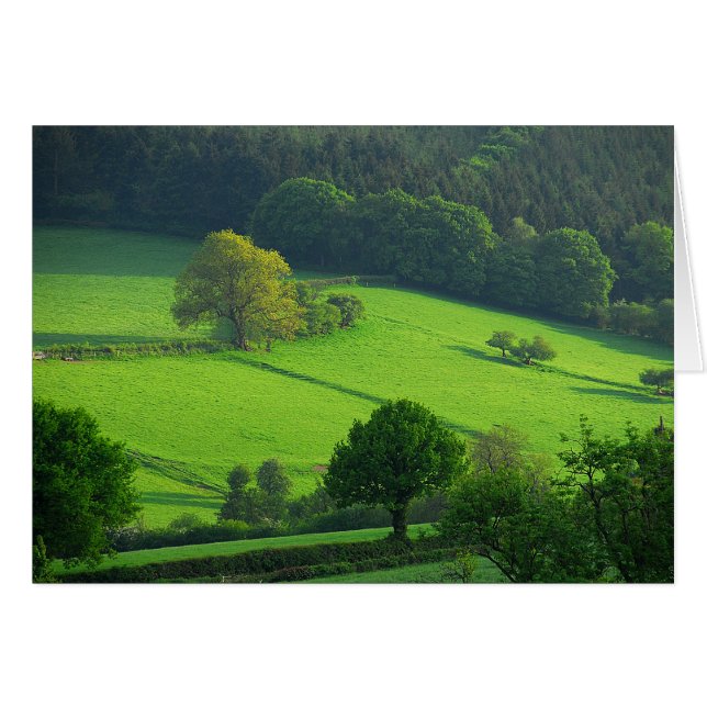 Green Hils (Vorderseite (Horizontal))