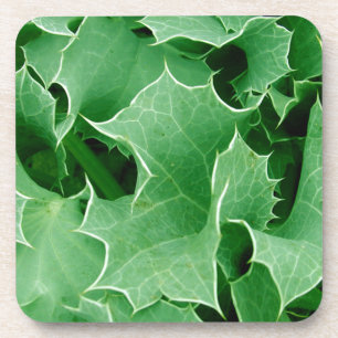 Green Holly nah Up Set Cork Untersetzer