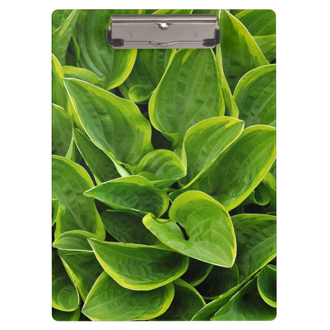 Green hosta-Blätter drucken Klemmbrett (Vorderseite)