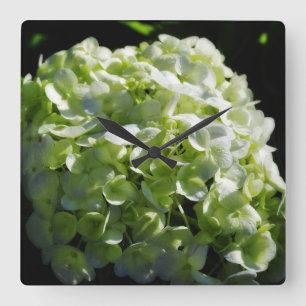 Green Hydrangeas Flowers Quadratische Wanduhr