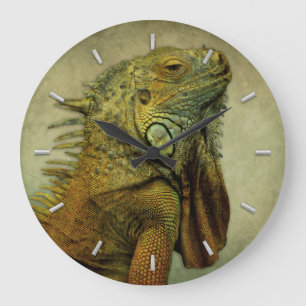 Green Iguana Große Wanduhr